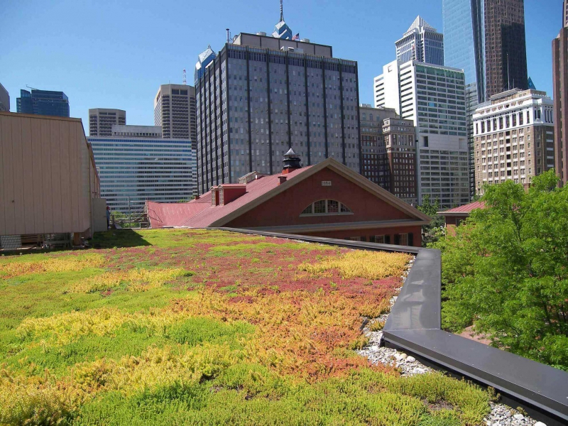 paysagiste-BENDEJUN-min_green-roof-portfolio-4